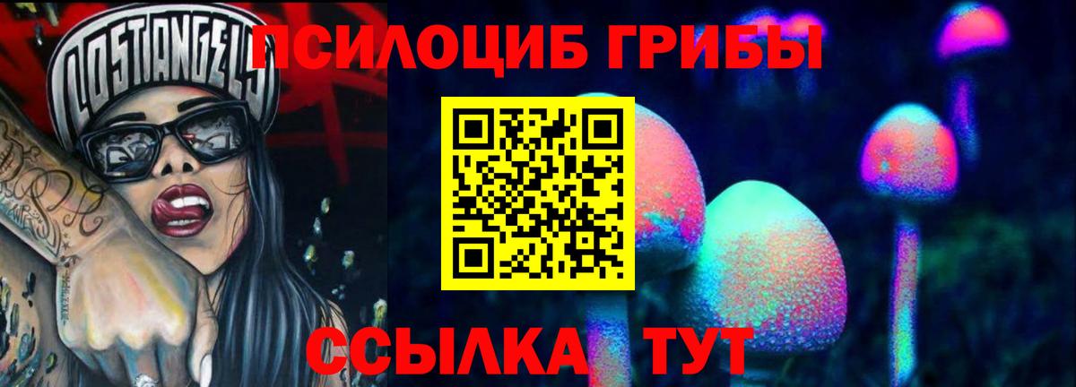 Псилоцибиновые грибы Psilocybine cubensis  Вход с VPN  Александров 